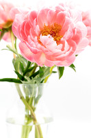 Peony_Play_2021-083