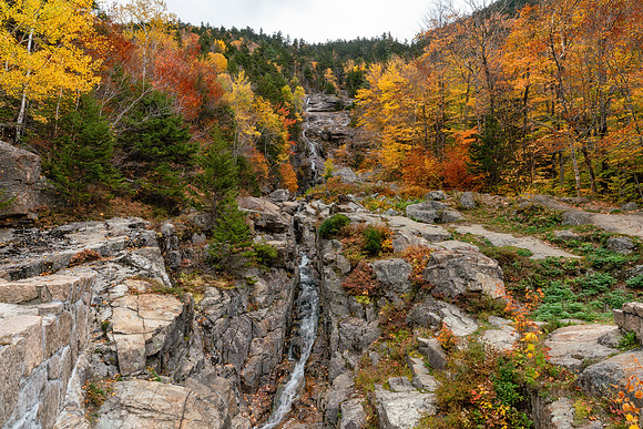 NH_Kangamangus_Hwy_White_Mountains_2021-832