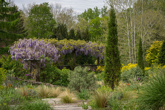 Chanticleer_4_2022-181