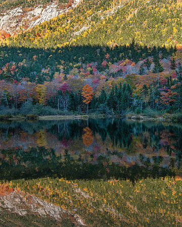 NH_Kangamangus_Hwy_White_Mountains_2021-408