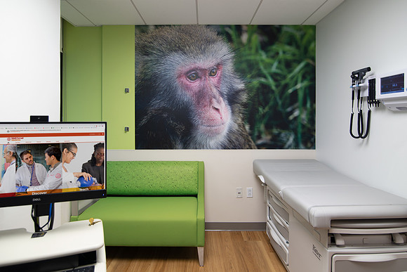 Weill Cornell OBGYN and Pediatrics - NYC - Array Architects