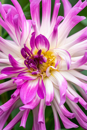 Longwood_6_2020-013
