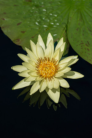 Longwood_2_2021-198
