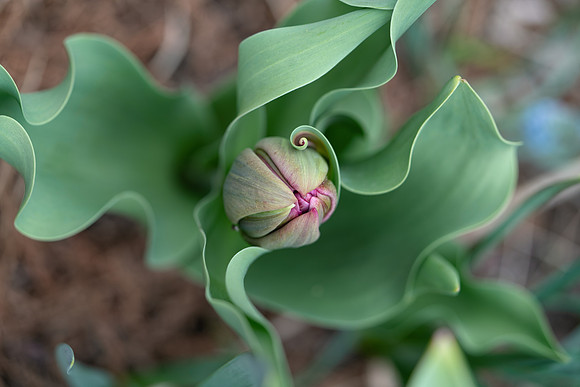 Longwood_1_2021-328