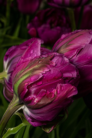 Longwood_2_2022-102