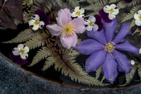 Flowers by Color