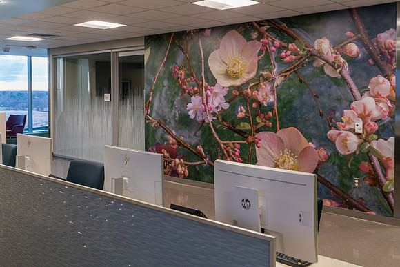 Inspira Health - Mullica Hill NJ - Array Architects