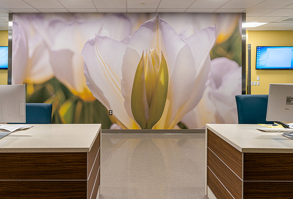 Inspira Health - Mullica Hill NJ - Array Architects