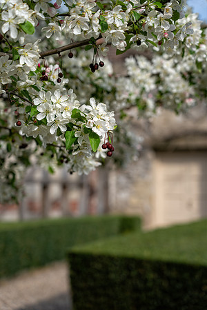 Andalusia_1_2022-120