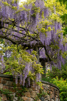 Chanticleer_4_2022-160