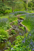 Chanticleer_4_2022-124