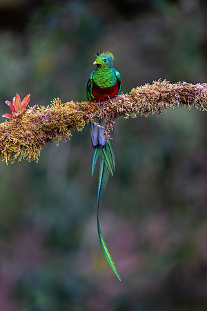 Costa_Rica_11_2022-266