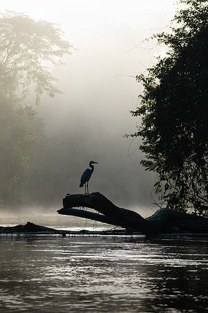Costa_Rica_2_2022-136