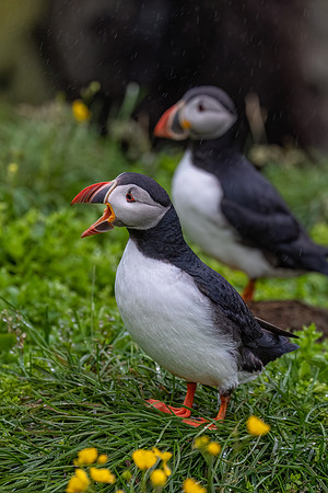 Iceland_2A_2022-069