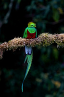 Costa_Rica_11_2022-202