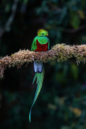 Costa_Rica_11_2022-202