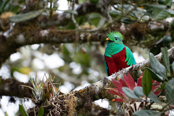Costa_Rica_11_2022-302