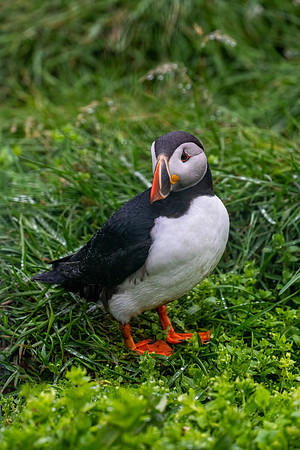 Iceland_2A_2022-100