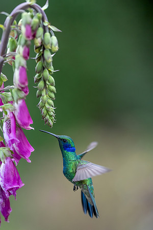 Costa_Rica_10_2022-560