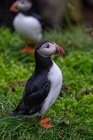 Iceland_2A_2022-059