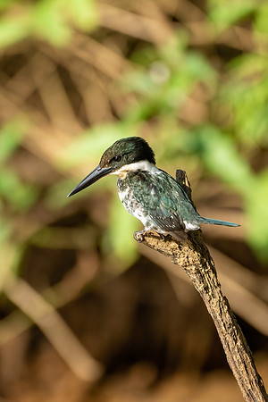 Costa_Rica_2_2022-216