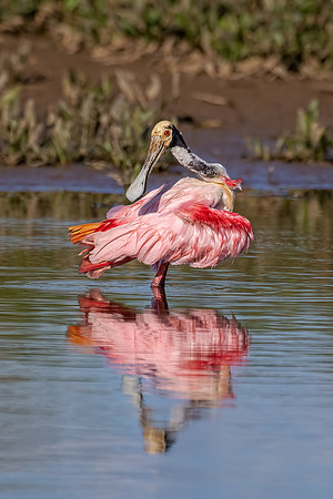 Costa_Rica_3_2022-474