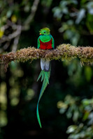 Costa_Rica_11_2022-116