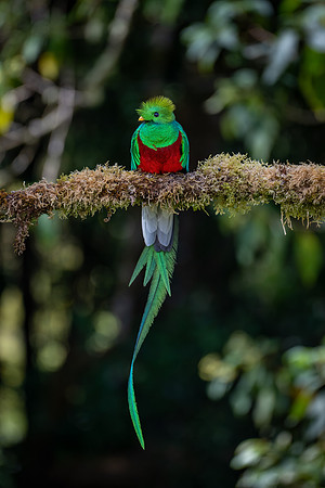 Costa_Rica_11_2022-116