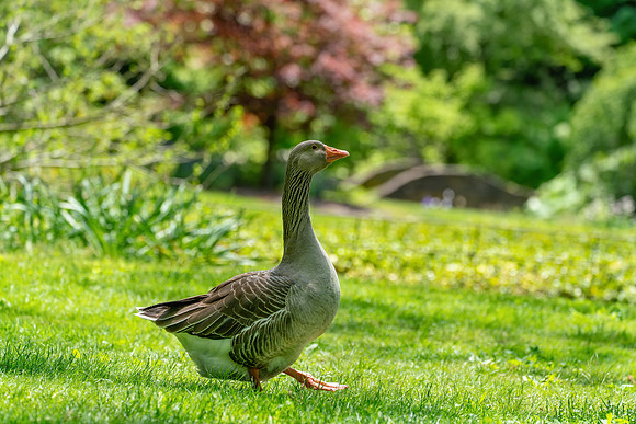 Hortulus_Farm_1_2020-636