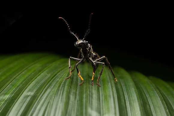 Costa_Rica_8_2022-48