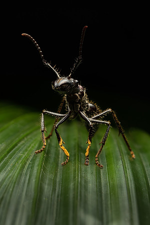 Costa_Rica_8_2022-48