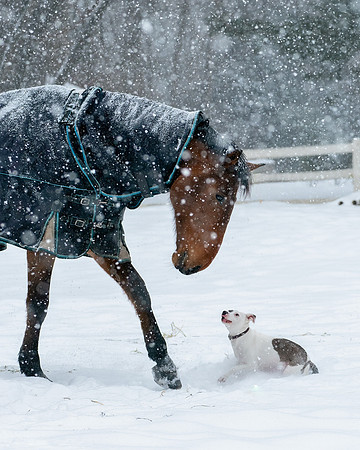 Sullivan_Stables_1_2021-281
