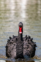 Hortulus_Farm_1_2020--10