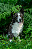 Monty_July_2021-093