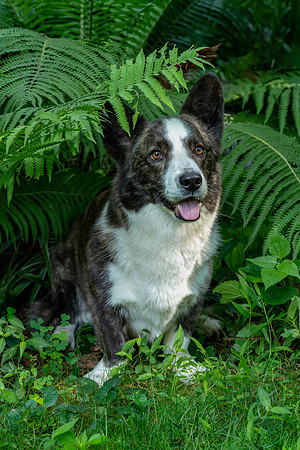 Monty_July_2021-093