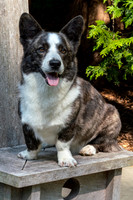 Monty_July_2021-110