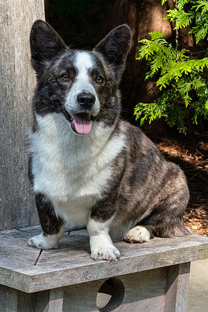 Monty_July_2021-110