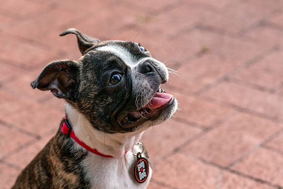 Wilbur_Aug_2020-1078