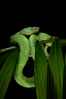 Costa_Rica_9_2022-457