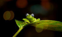 Costa_Rica_9_2022-154