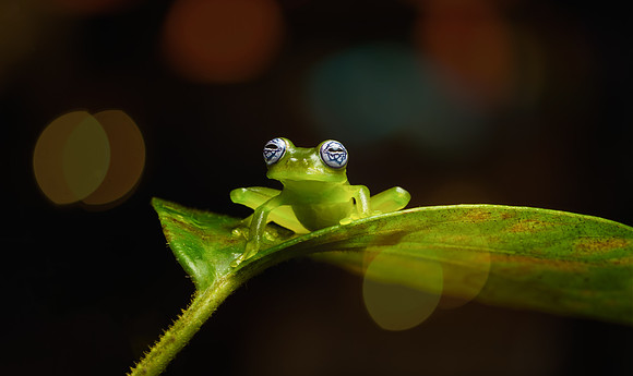 Costa_Rica_9_2022-154