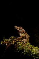 Costa_Rica_9_2022-446
