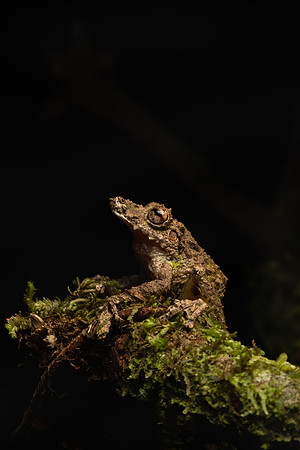 Costa_Rica_9_2022-446