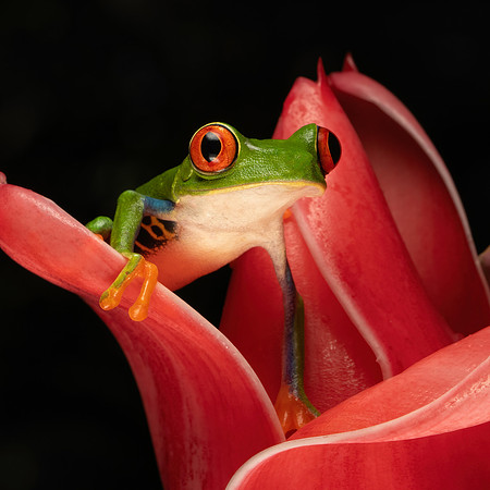 Costa_Rica_9_2022-014