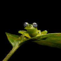 Costa_Rica_9_2022-154