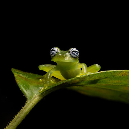Costa_Rica_9_2022-154