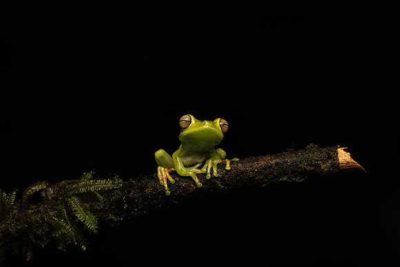Costa_Rica_7_2022-606