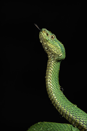 Costa_Rica_9_2022-418