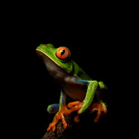 Costa_Rica_9_2022-055
