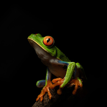 Costa_Rica_9_2022-055